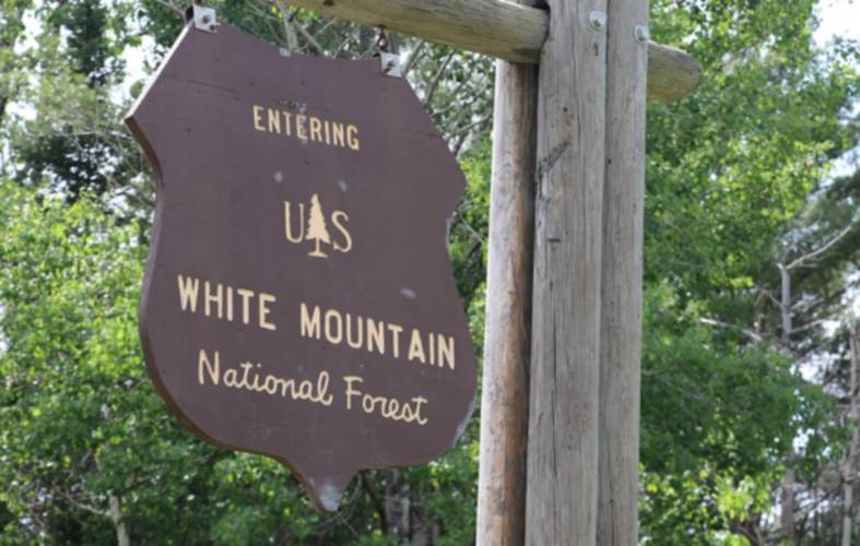 A White Mountain National Forest sign in Easton, NH.