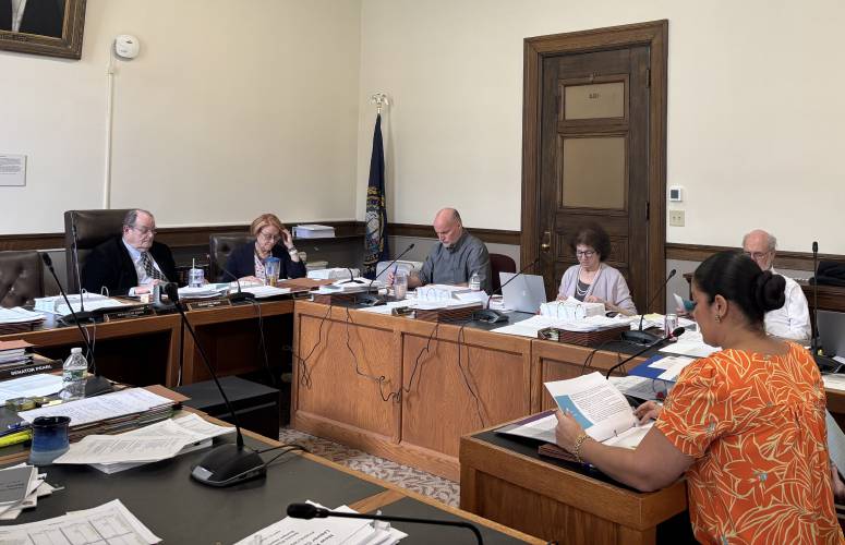 Cassandra Sanchez, New Hampshire's Child Advocate, gives a budget presentation to the Senate Finance Committee on April 21. Cassandra Sanchez, New Hampshire's Child Advocate, gives a budget presentation to the Senate Finance Committee on April 21.