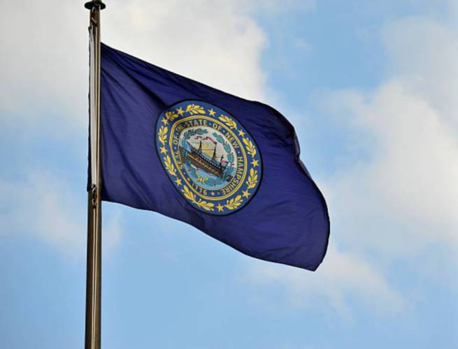 New Hampshire Flag 