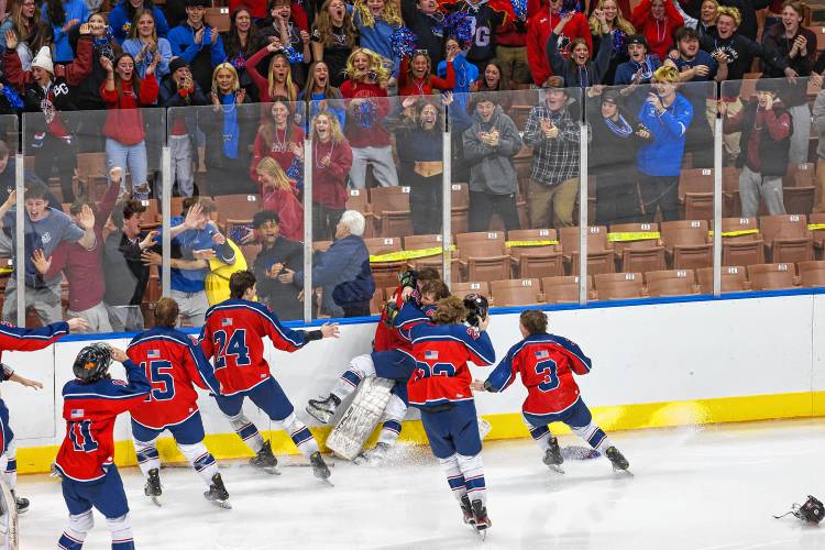 Belmont-Gilford senior forward Evan Guerin (6) scores a goal two minutes into overtime to lift the Bulldogs to the D-III boys’ hockey championship.
