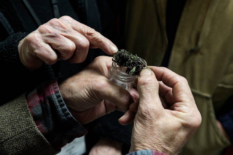 Customers look over a marijuana bud brought to be tested for its potency at White River Growpro in White River Junction, Vt., Saturday, Oct. 27, 2018.